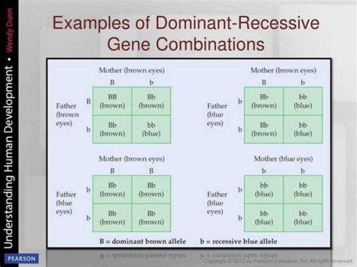 Is Darwins tubercle dominant or recessive