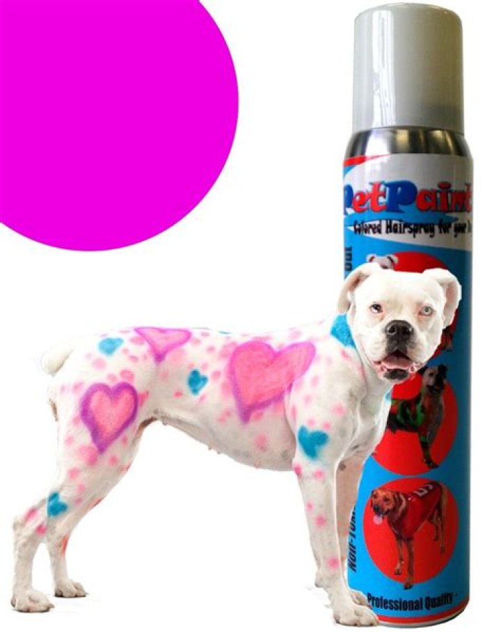 Is hair spray paint safe for dogs