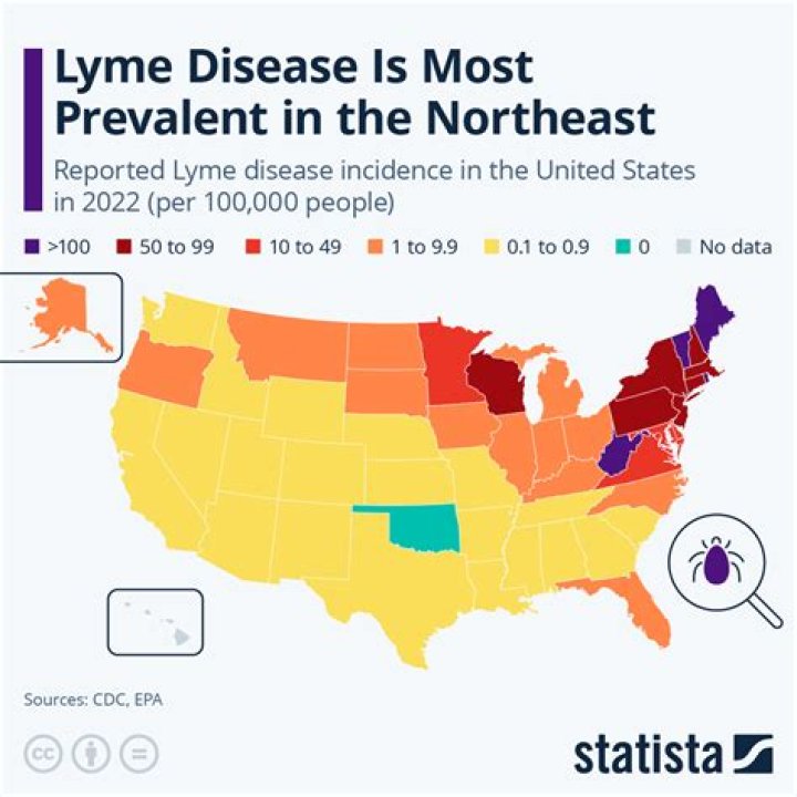 Is Lyme Disease in FL
