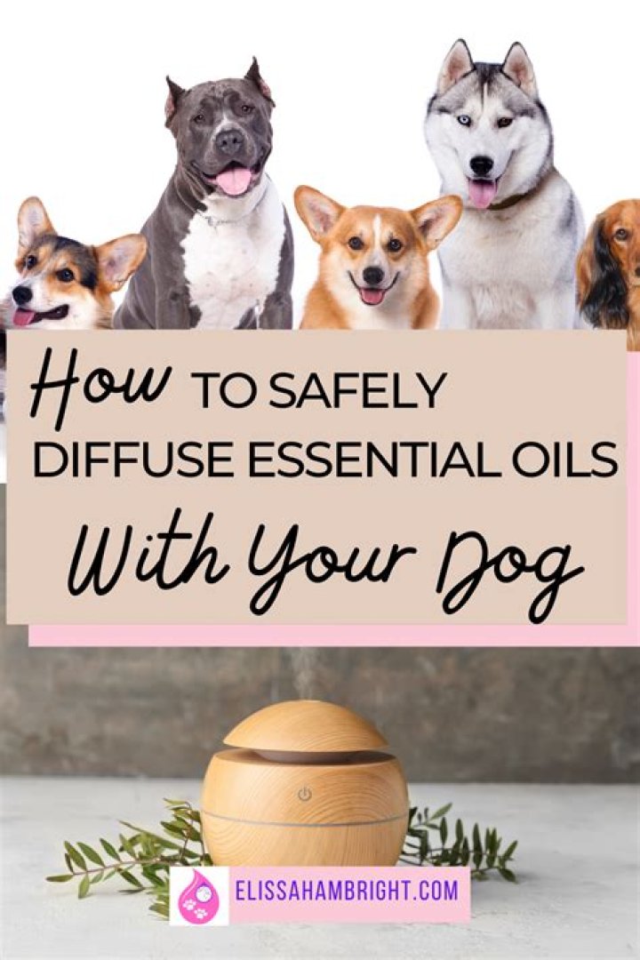 Is Orange Oil Safe To Diffuse Around Dogs
