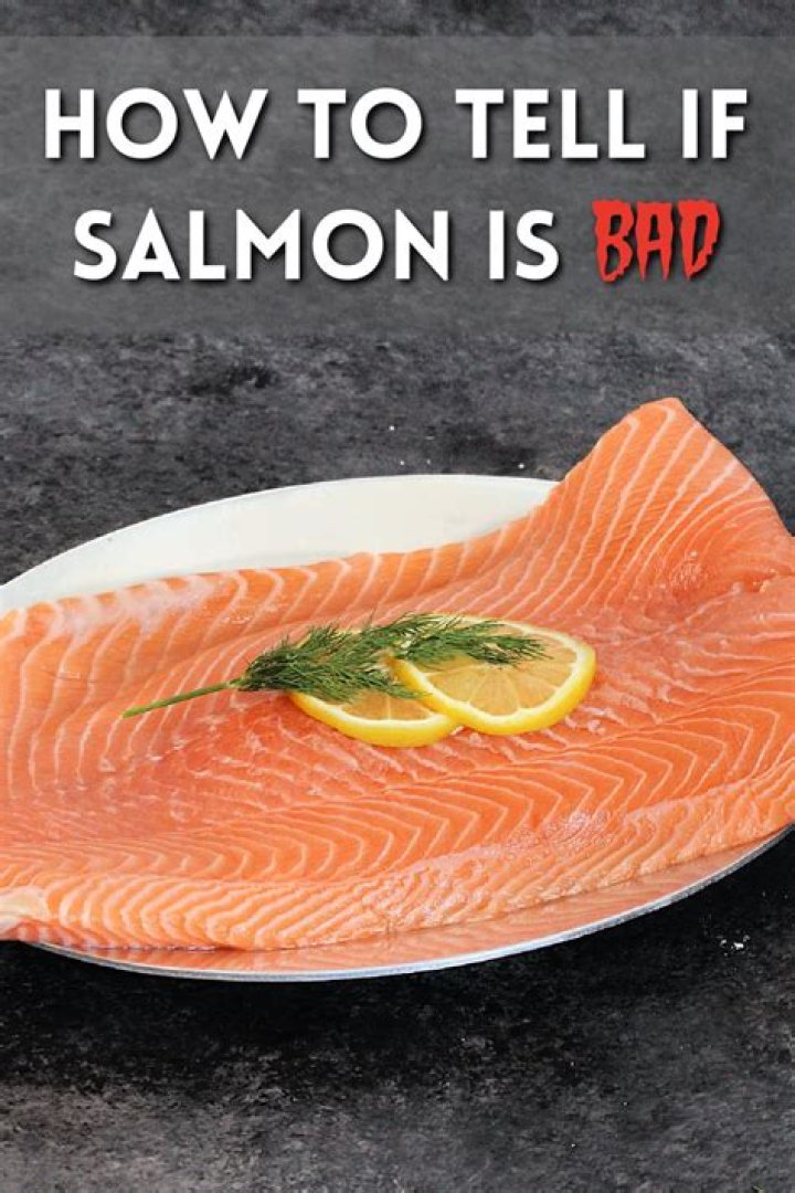 Is salmon head good for pregnancy