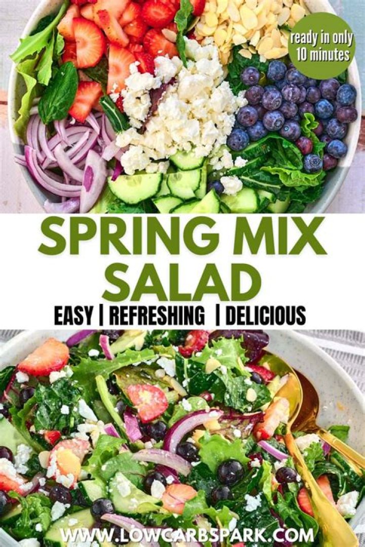 Is spring mix good for you