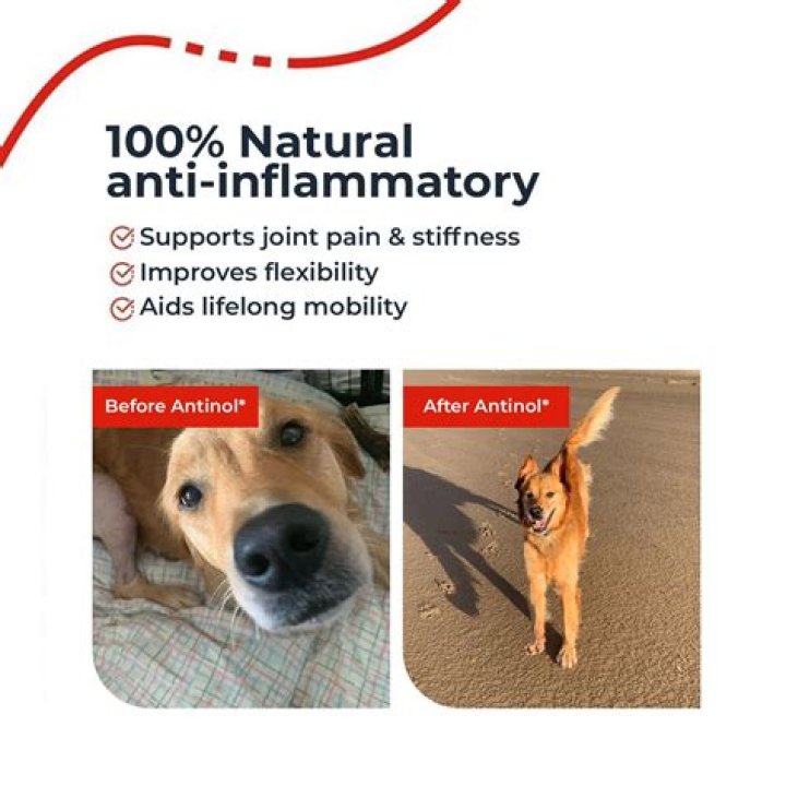 Is there an over the counter anti inflammatory for dogs