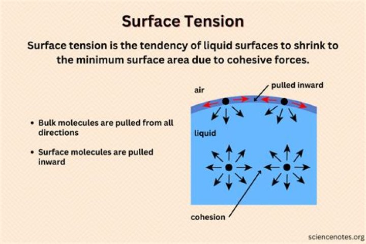 Is there any effect of impurities on surface tension