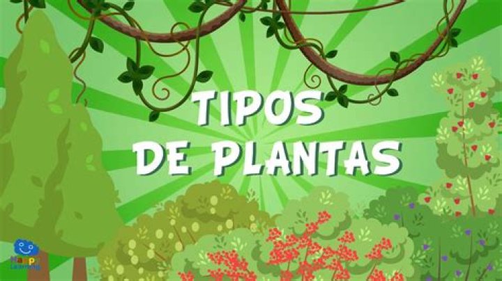 ¿Qué son las plantas para los niños