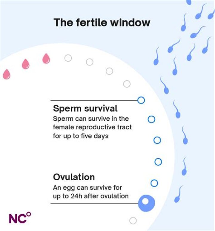Question: Can Sperm Travel Through Clothing Or Material