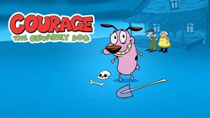 Question: How Many Episodes Of Courage The Cowardly Dog