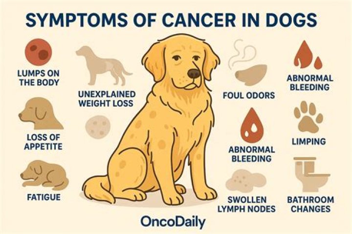 Question: What Does Hot Sauce Do To Dogs