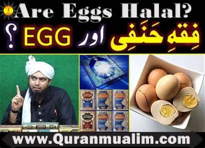 Quick Answer: Are Fish Eggs Halal Hanafi