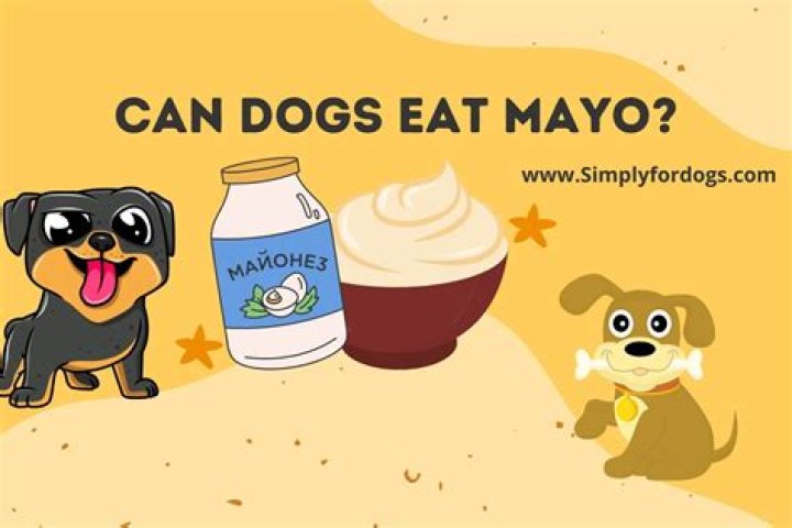 Quick Answer: Can Dogs Eat Tuna With Mayo