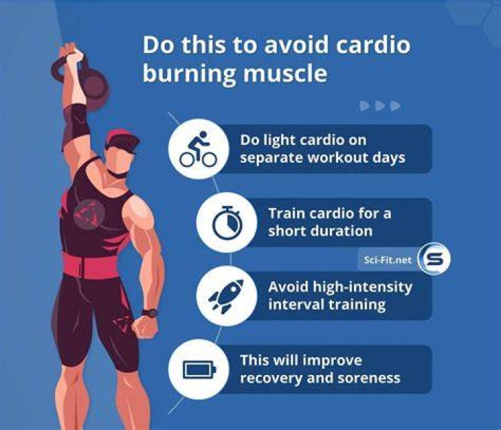 Quick Answer: How Often Should I Do Cardio While Weight Training