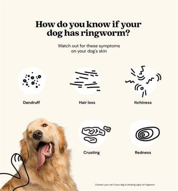 Quick Answer: Should I Quarantine My Dog With Worms