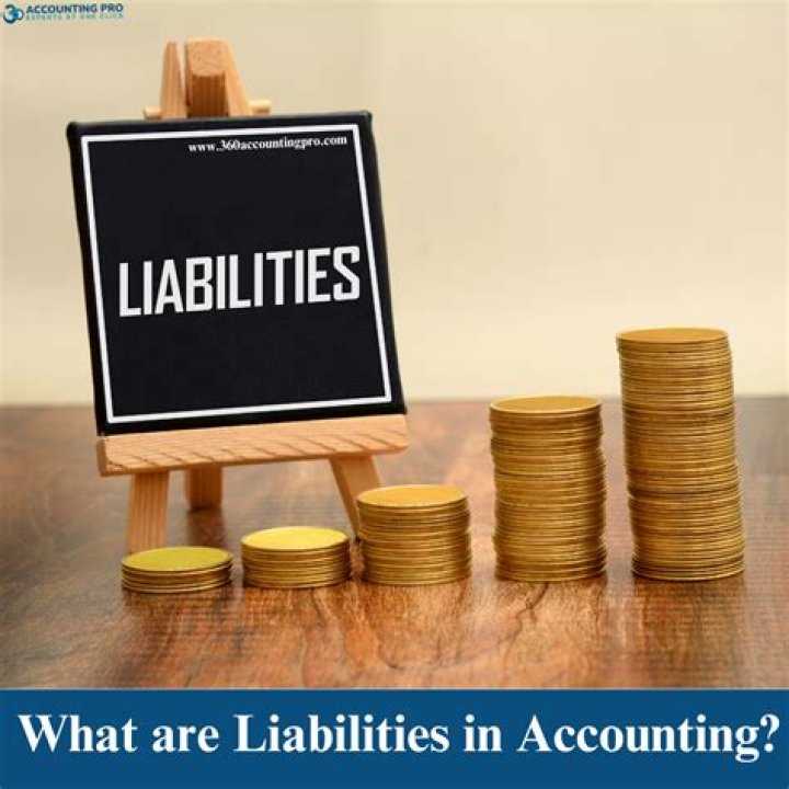 What are net liabilities