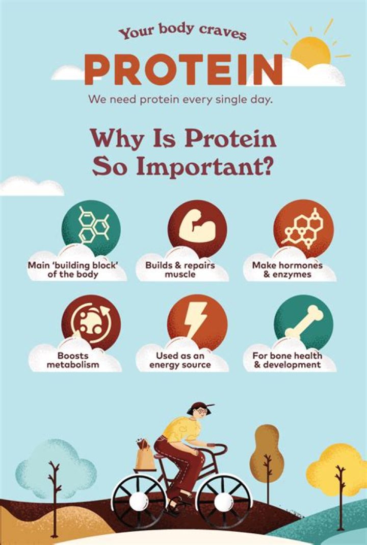 What are proteins and why are they important