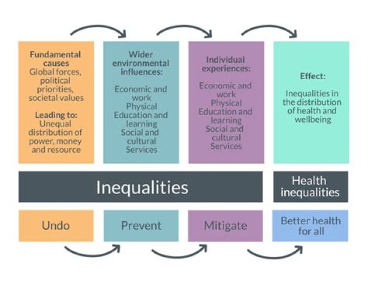 What are social inequalities in health