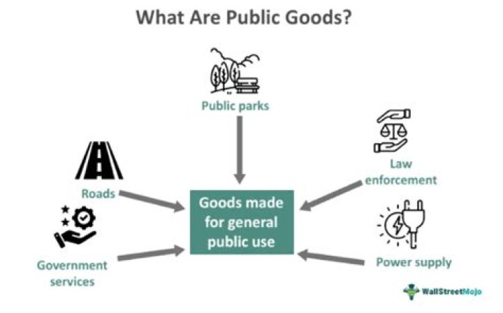 What are some examples of public goods and services