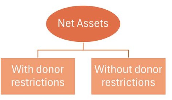 What are the 3 types of net asset restrictions