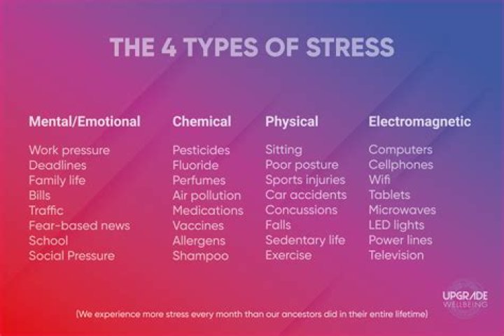What are the 4 types of stressors