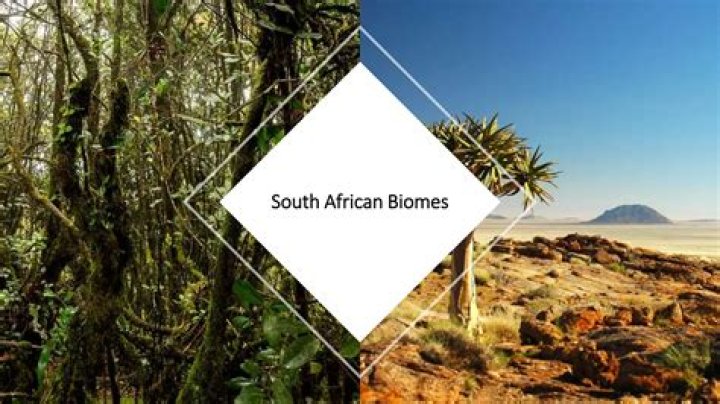 What are the biomes in South Africa