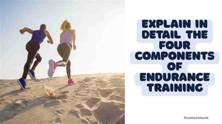 What are the four components of endurance training