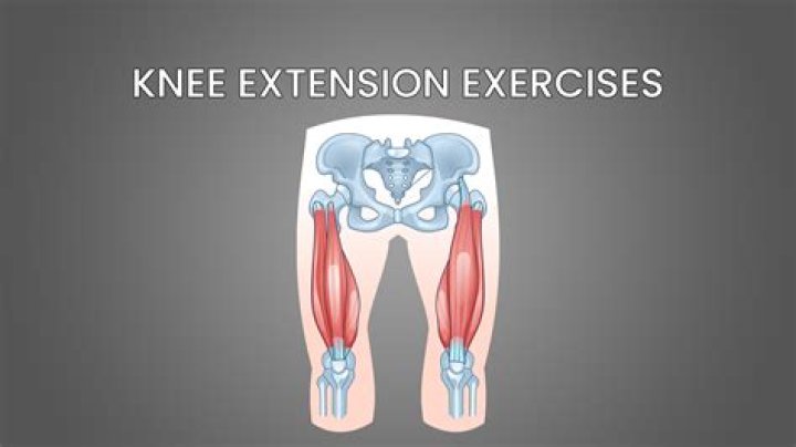 What are the four primary muscles that extend the knee