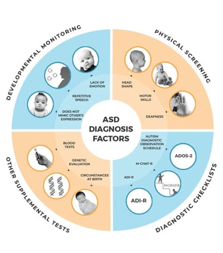 What are the main diagnosis criteria for ASD