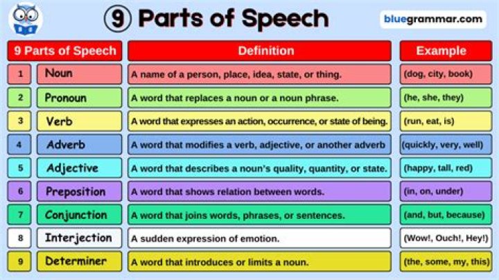 What are the parts of an introduction in a speech
