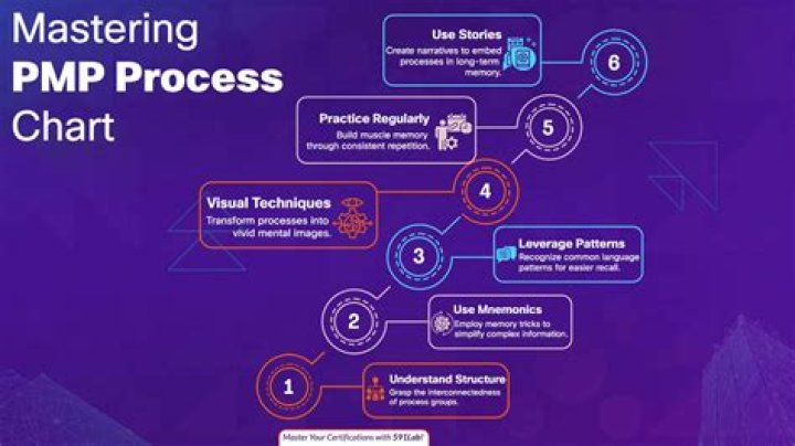 What are the PMP processes