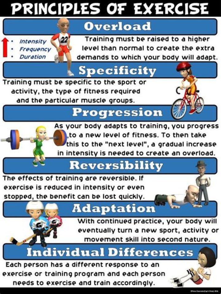 What Are The Three Basic Principles Of Exercise