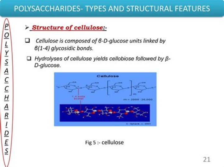 What carbohydrate is a storage polysaccharide in animals