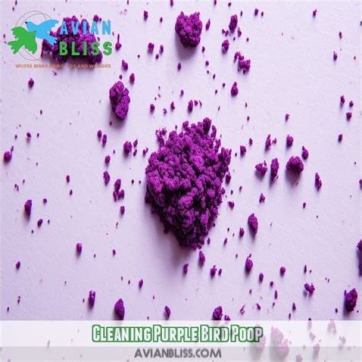 What causes purple bird poop