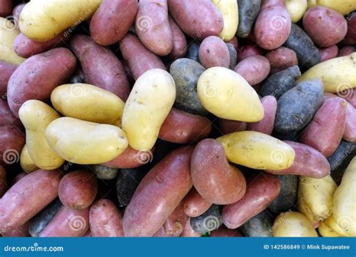 What color are fingerling potatoes