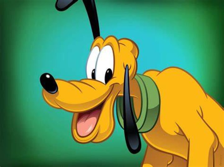 What Color Is Pluto The Dog