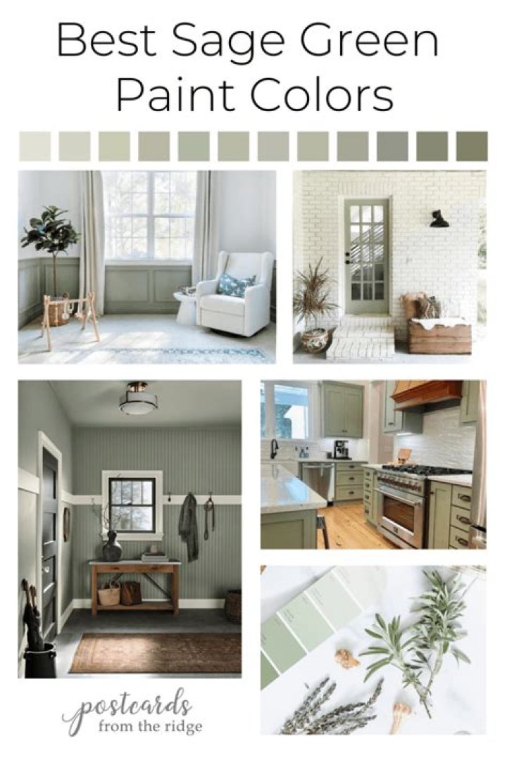 What colors go with sage green wall paint