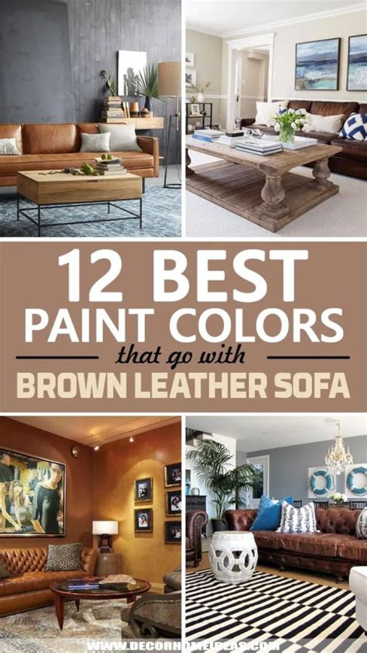 What Colour goes with a tan leather sofa