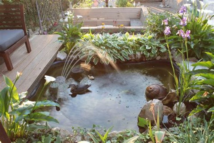 What do I need for an outdoor fish pond
