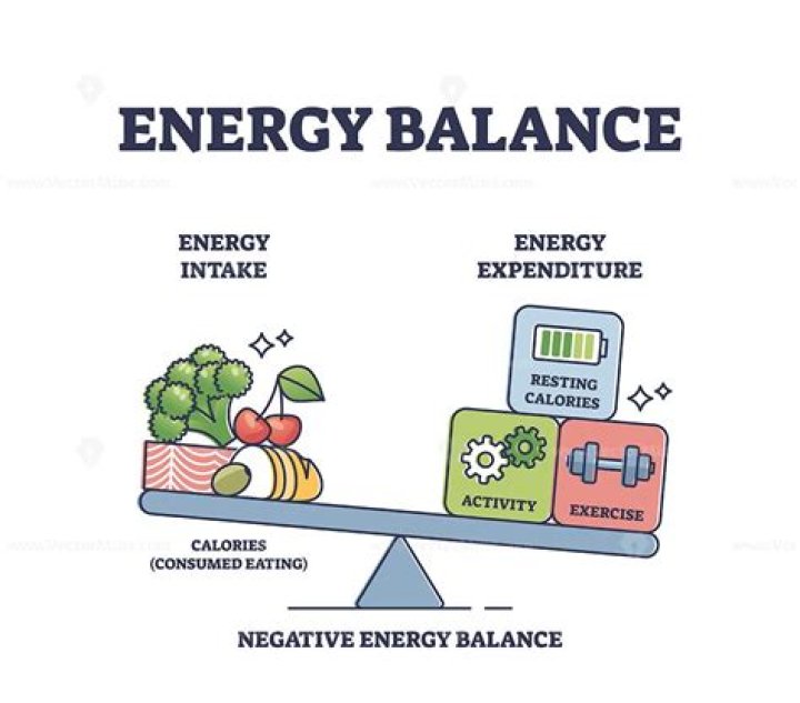 What does energy balance mean