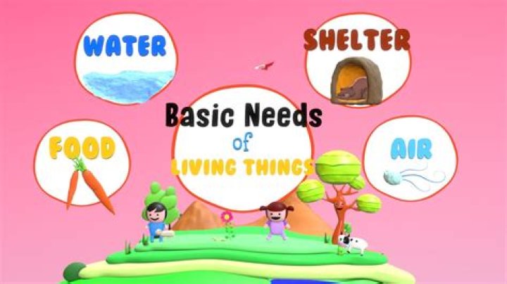 What does living need benefit mean