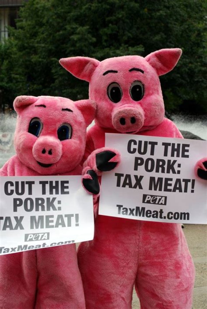 What does PETA stand for