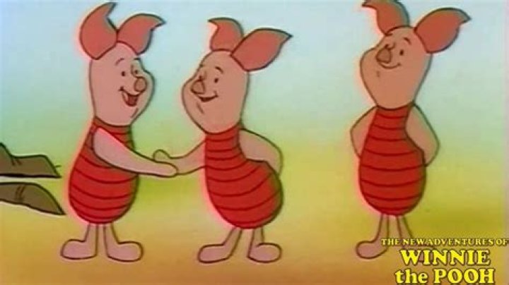 What does piglet represent in The Tao of Pooh