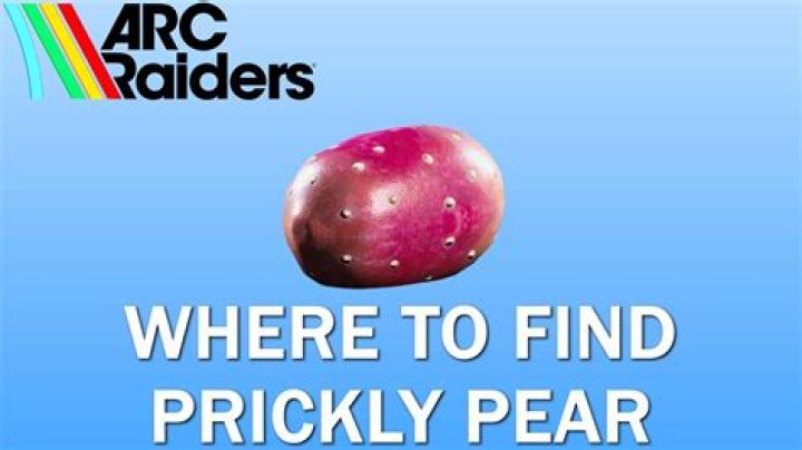 What does prickly pear do for skin