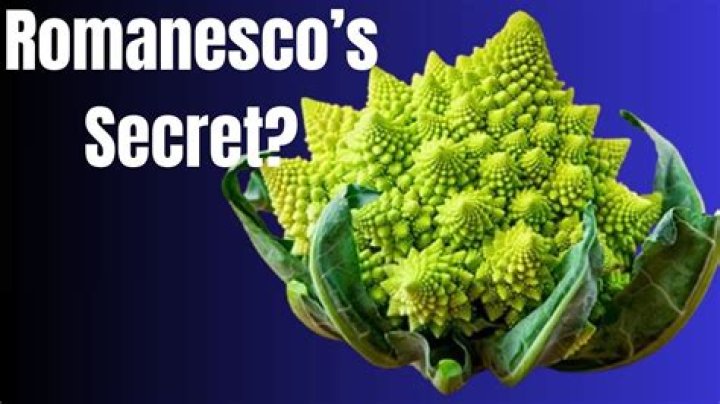 What does Romanesco mean