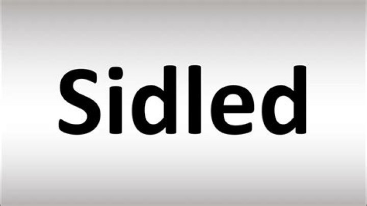 What does sidled mean