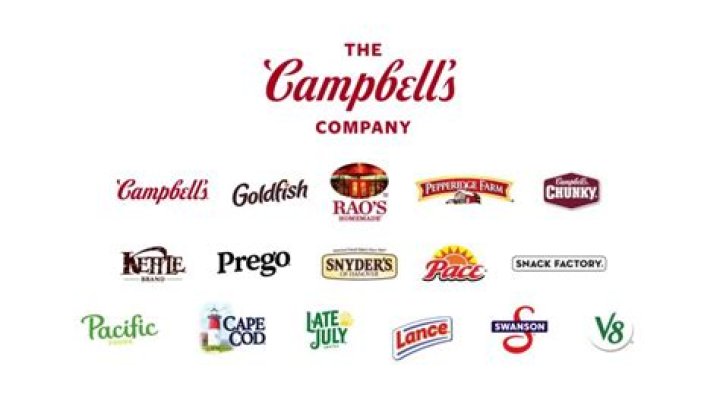 What does the company Cambria do