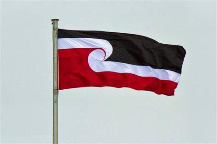 What does the Tino Rangatiratanga flag mean