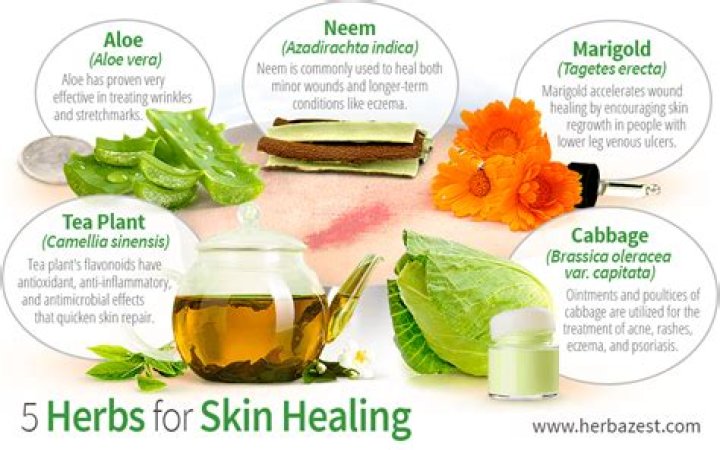 What herbs are good for healing wounds