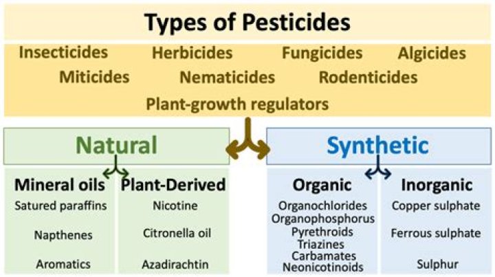 What is a non systemic insecticide