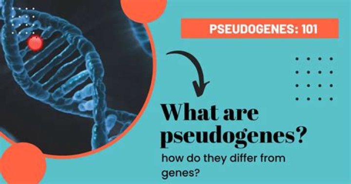 What is a processed pseudogene