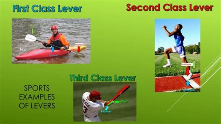 What is a sporting example of a second class lever