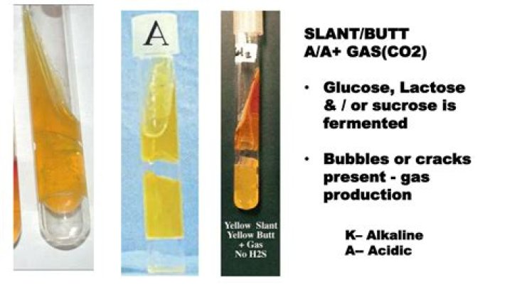 What is a TSI slant used for